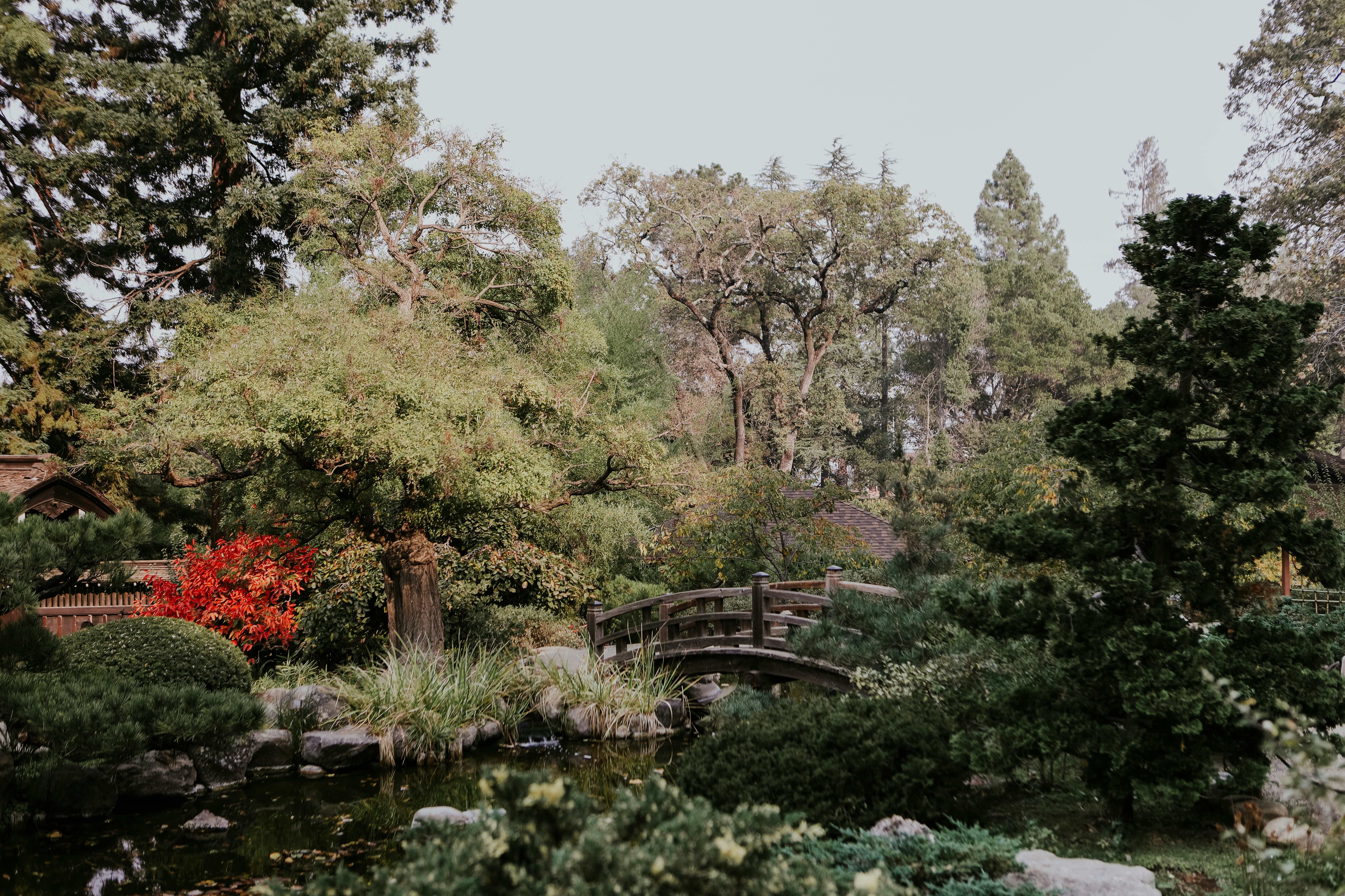 Photo by stevenvanelk