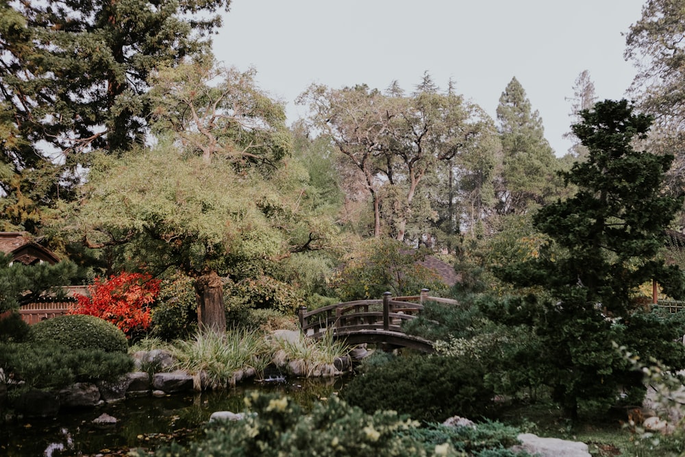 a small bridge over a small pond in a park