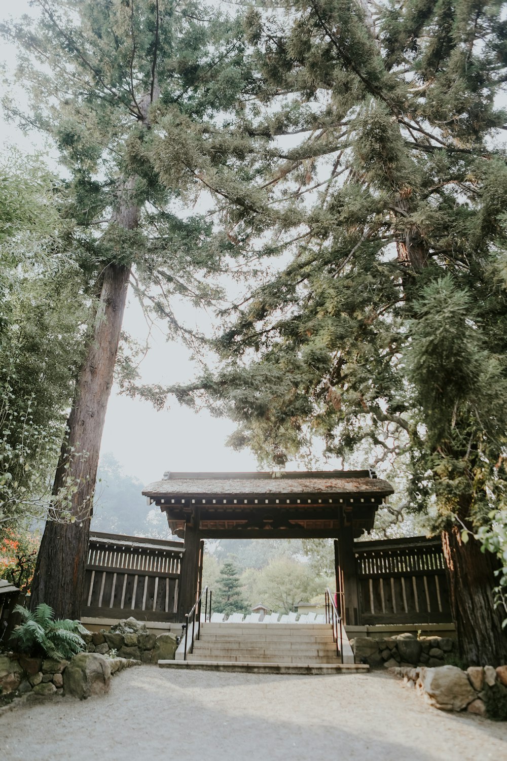 a gazebo in the middle of a wooded area