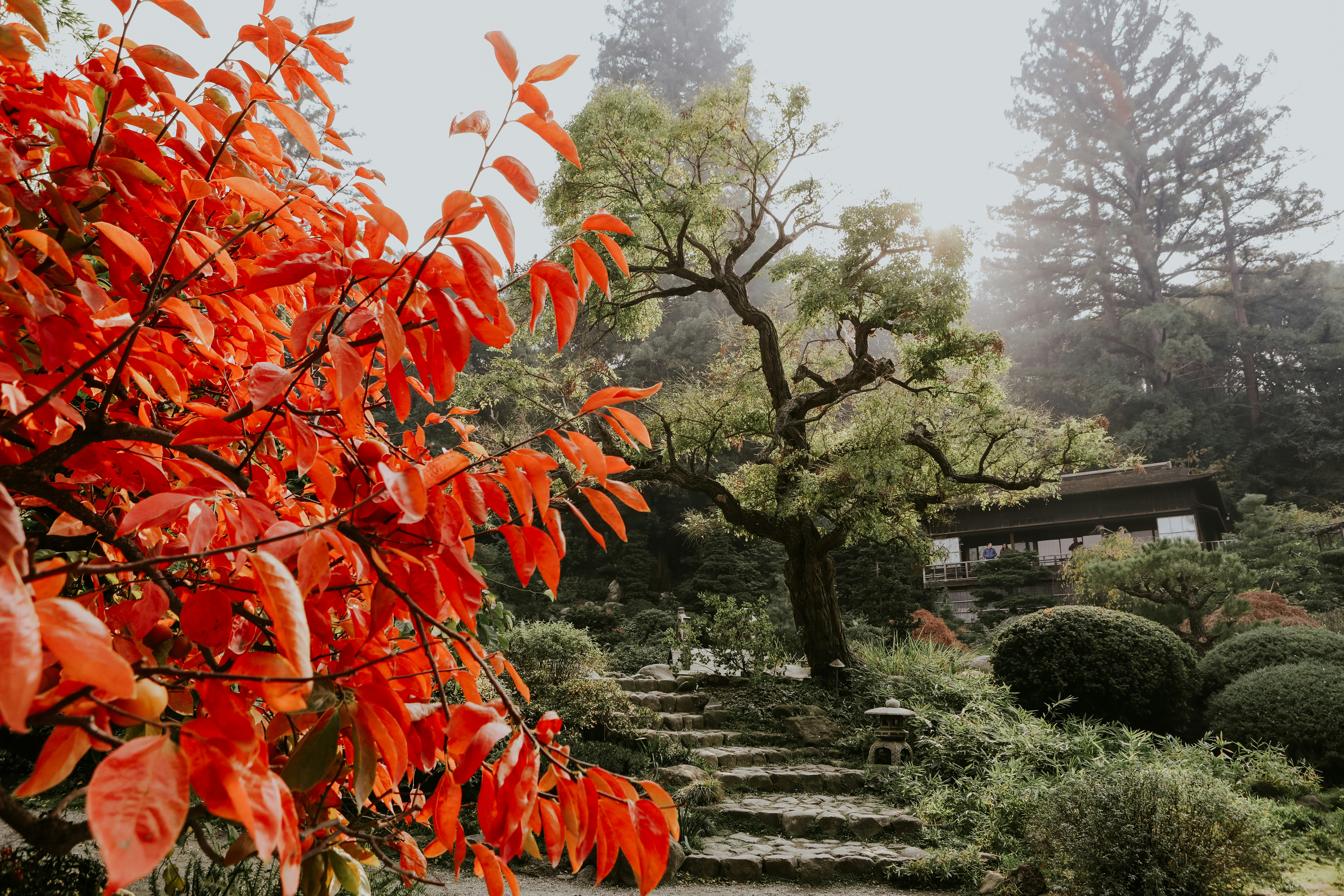 Photo by stevenvanelk