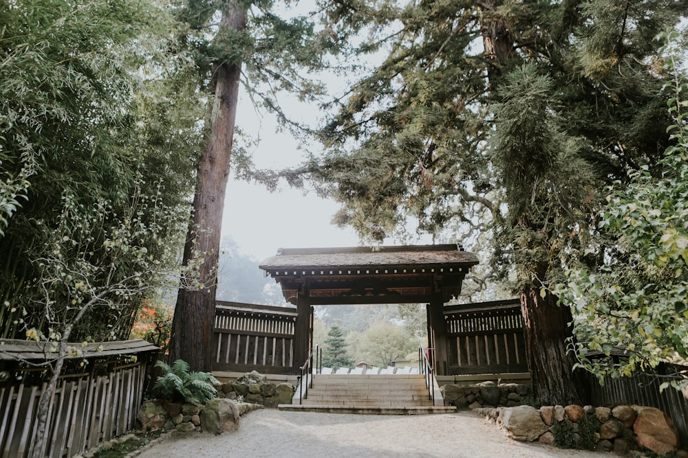 a wooden gate in the middle of a forest