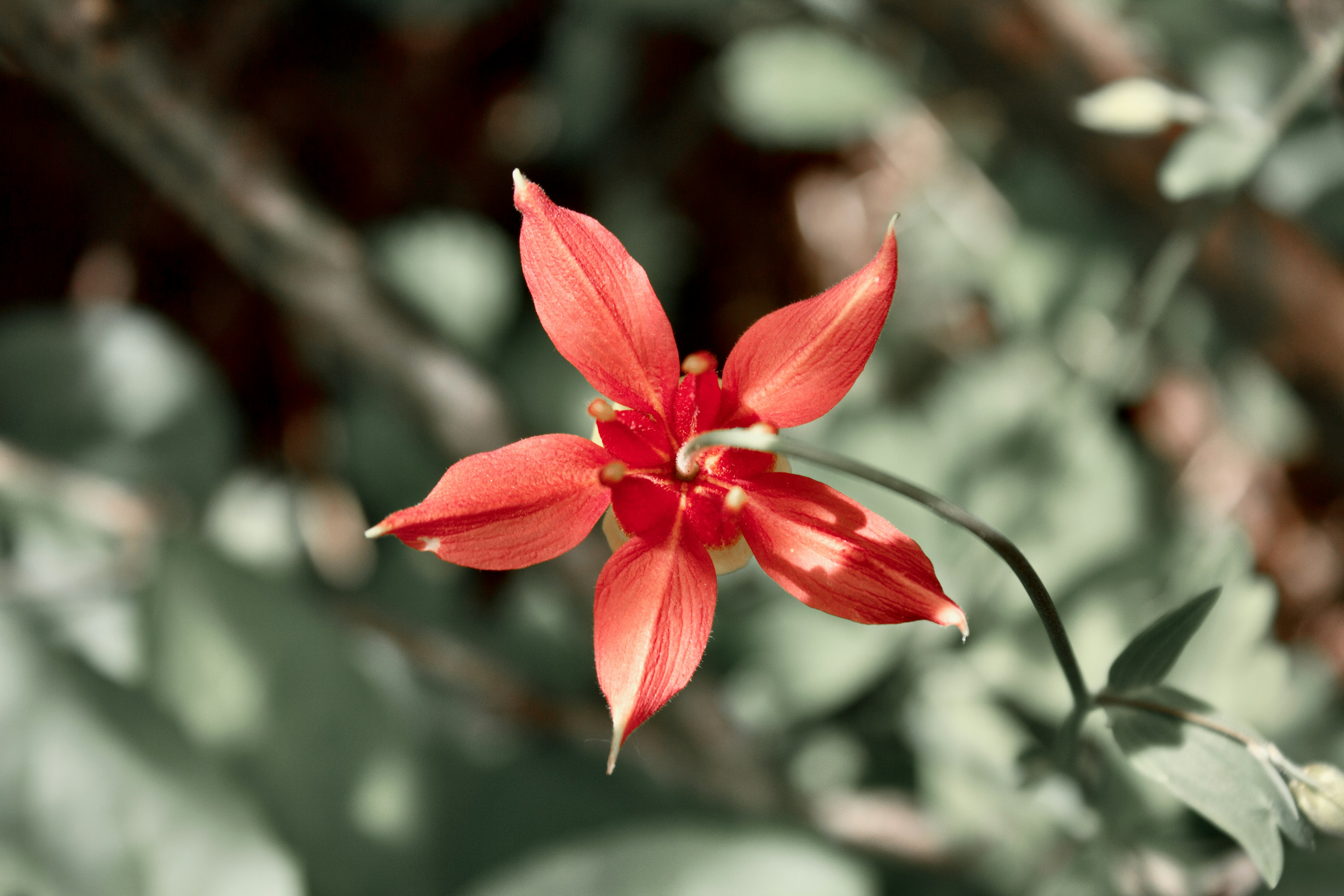 Photo by dcanadianphotographer