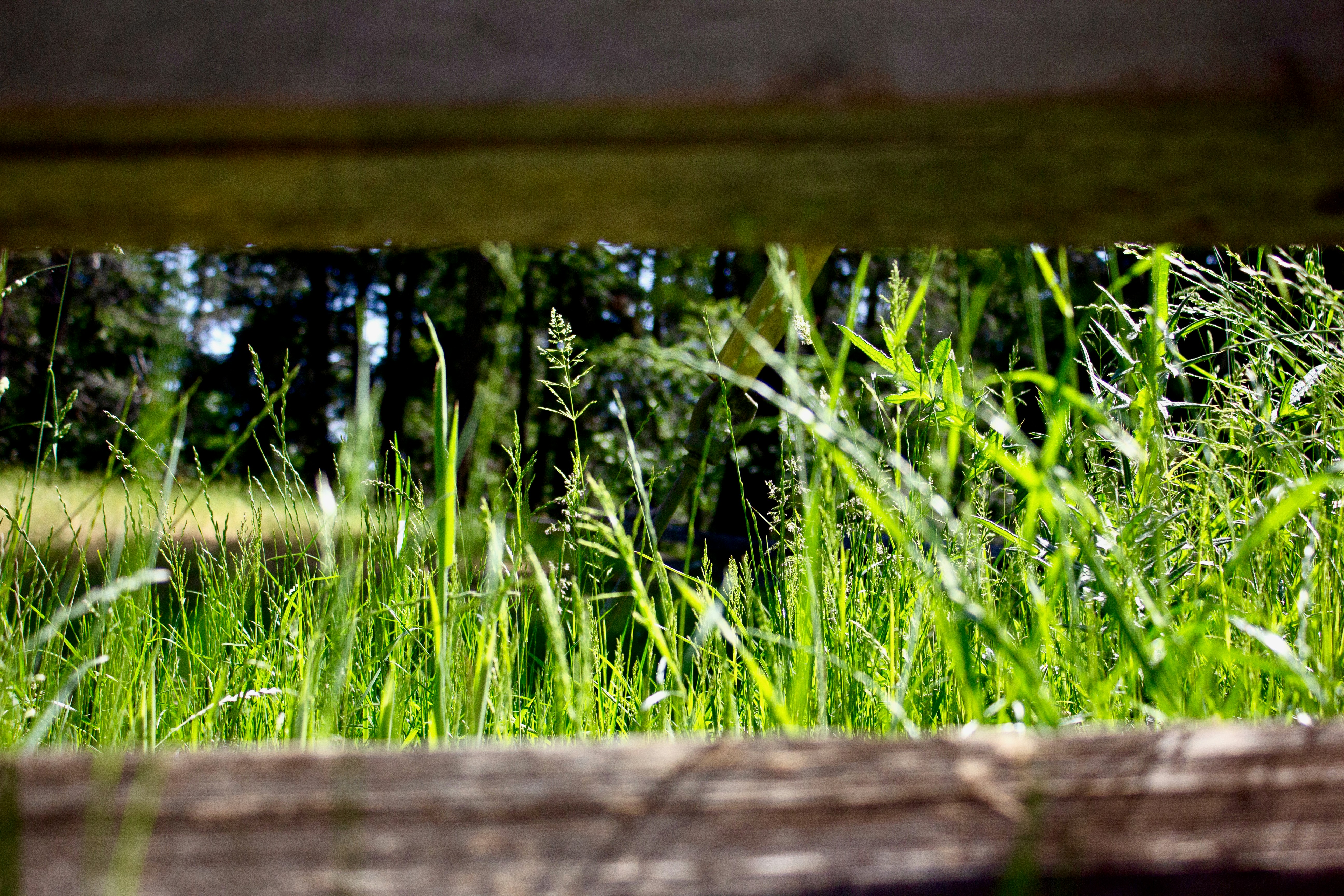 Photo by dcanadianphotographer