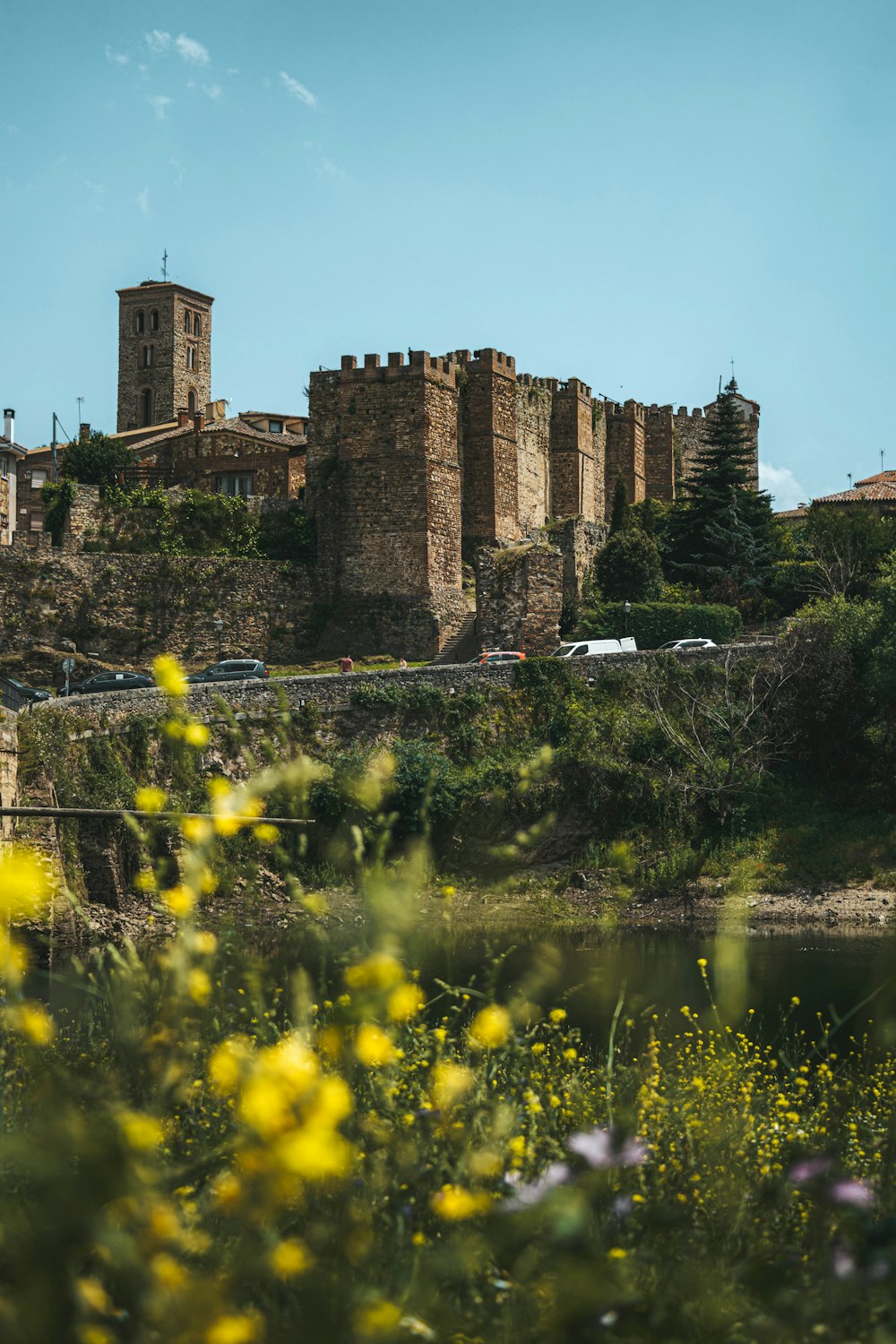 a view of a castle from across a river