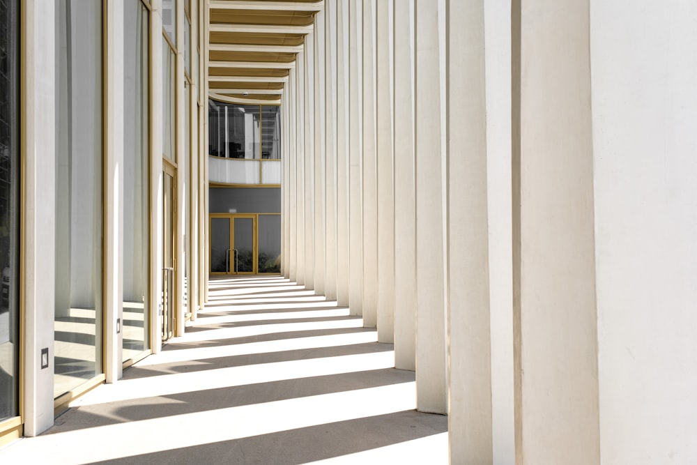 a long row of white columns on a building