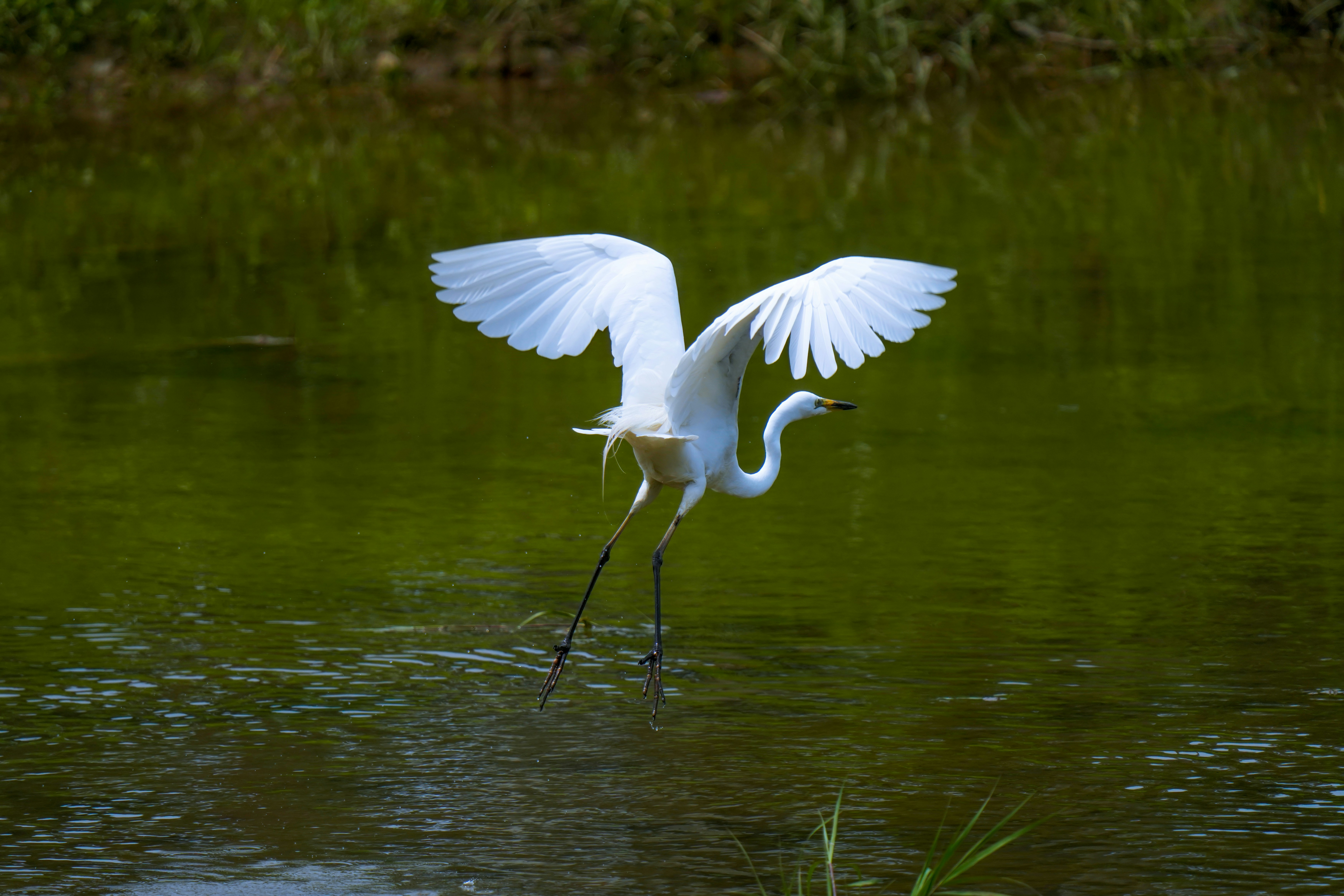 Photo by kim_dae_jeung