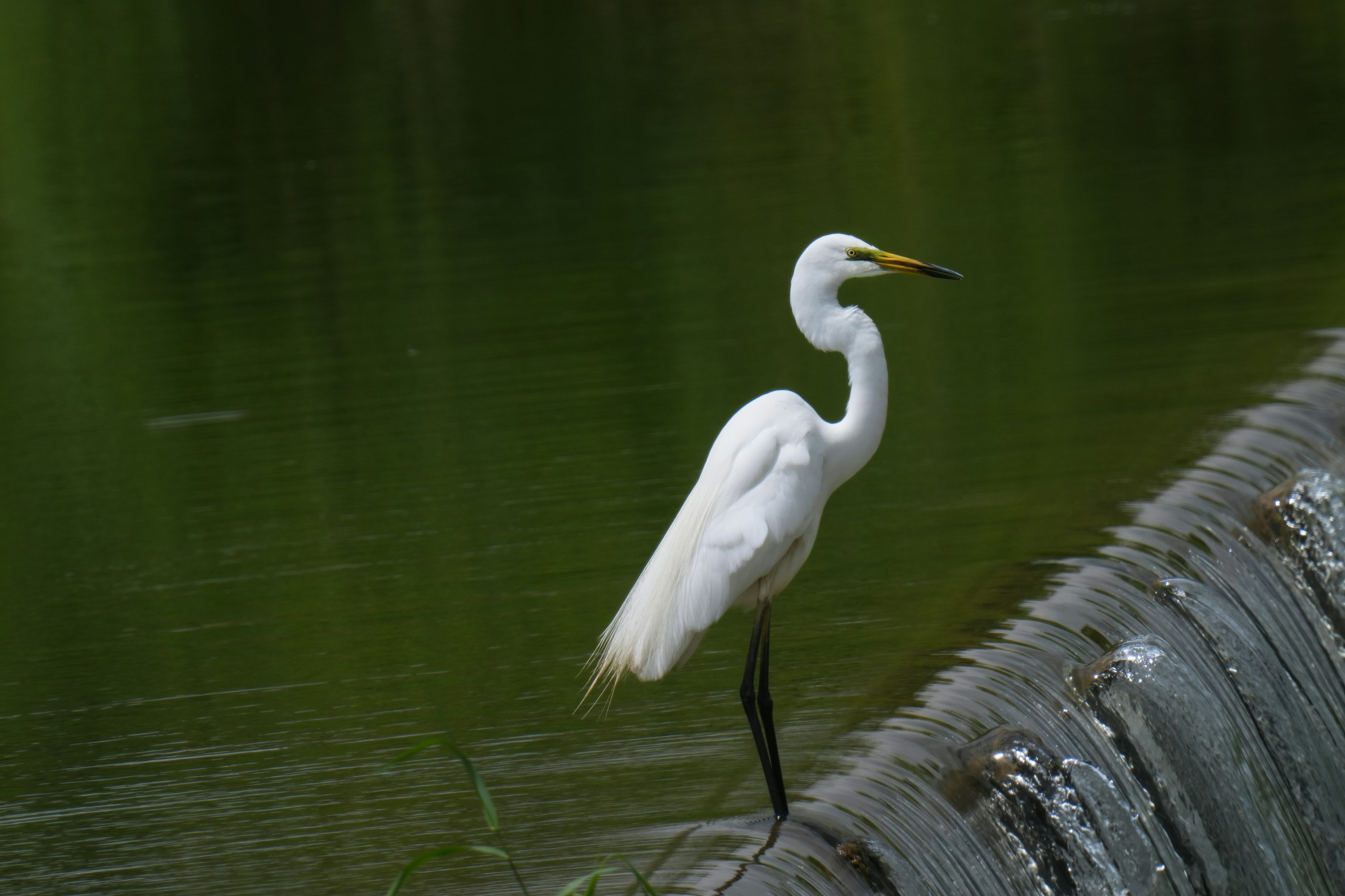 Photo by kim_dae_jeung