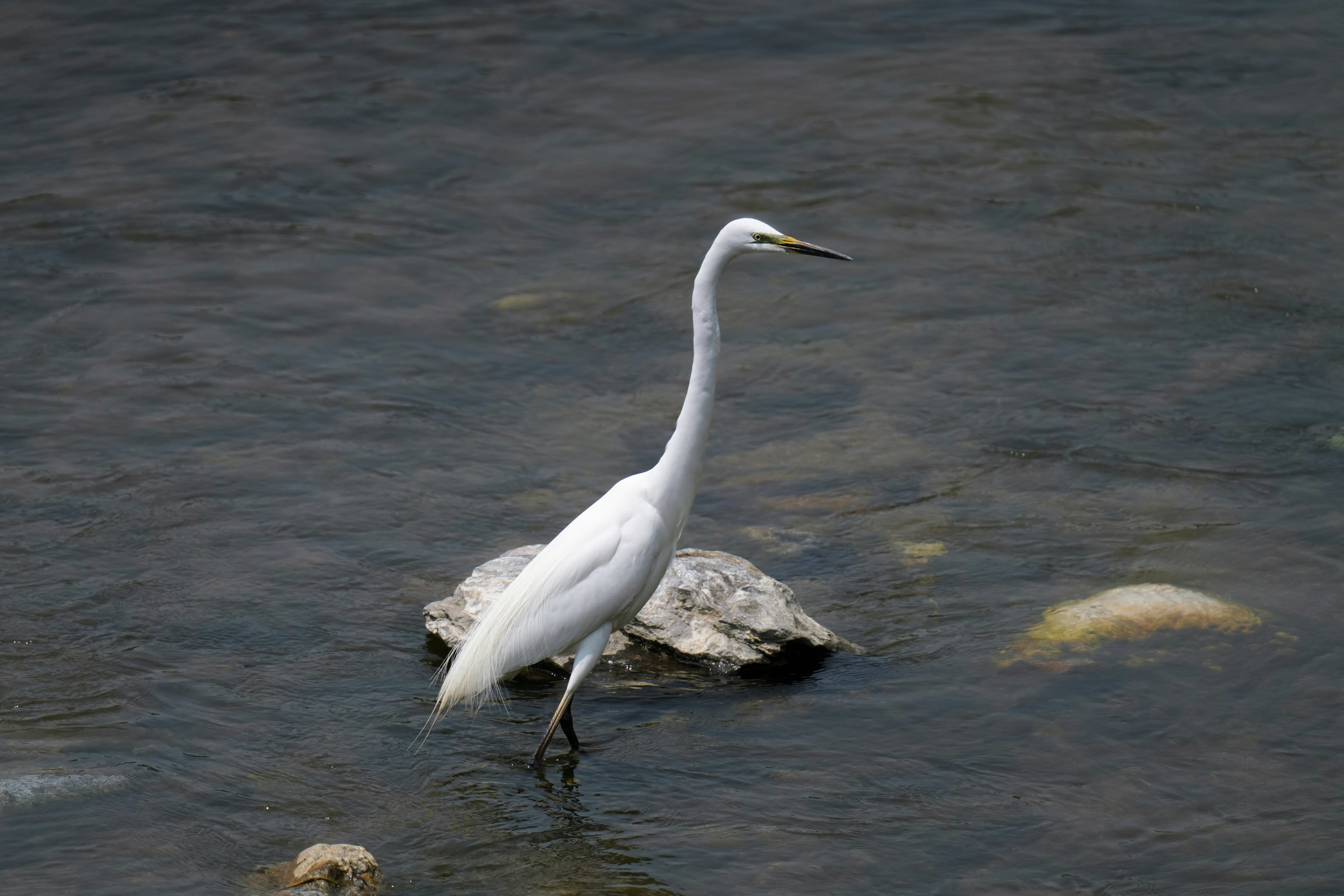 Photo by kim_dae_jeung