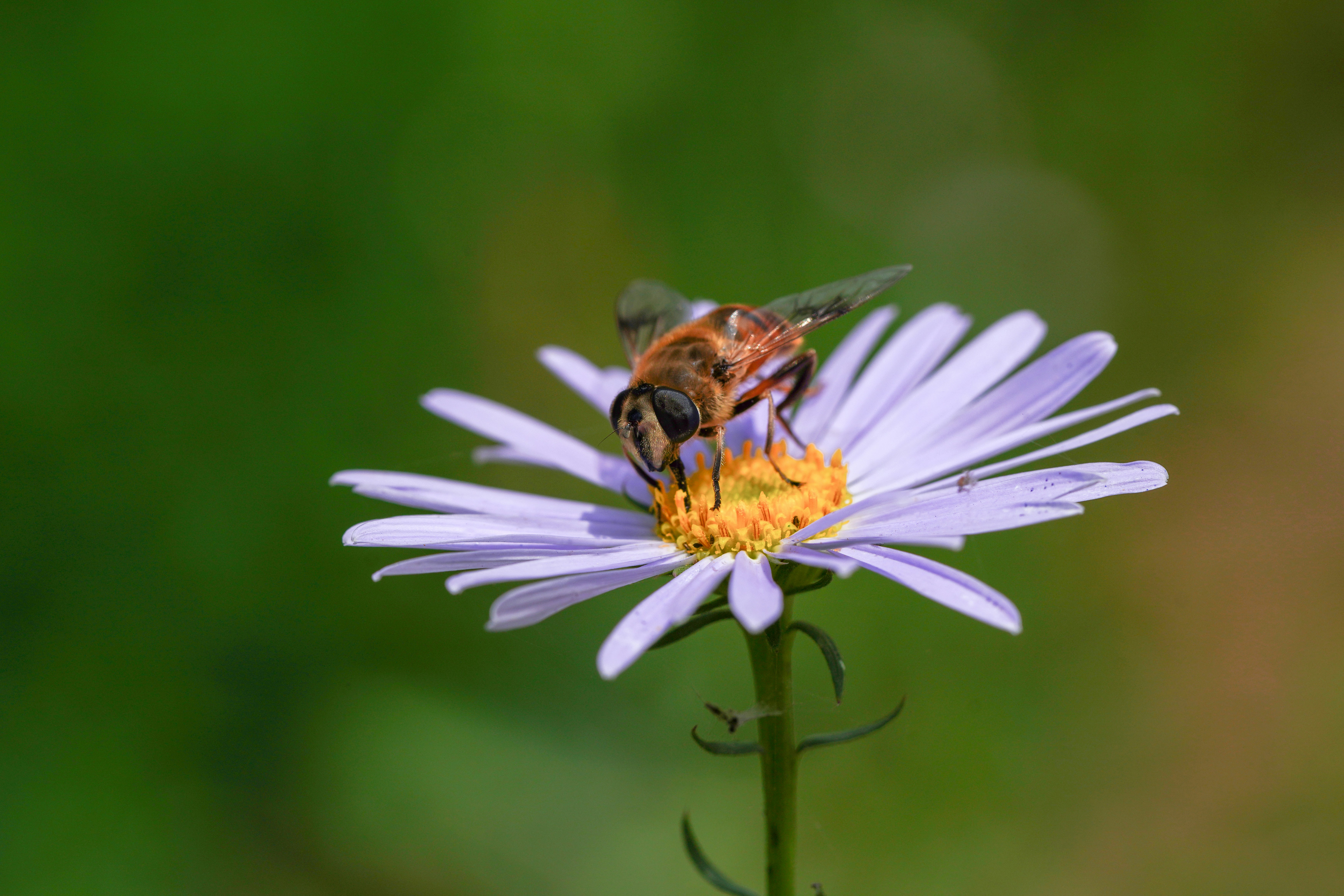 Photo by kim_dae_jeung