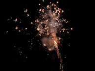 Fireworks display with bright sparks and smoke against a dark night sky. The explosion creates a pattern of cascading lights and vibrant colors.