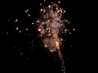 Fireworks display with bright sparks and smoke against a dark night sky. The explosion creates a pattern of cascading lights and vibrant colors.