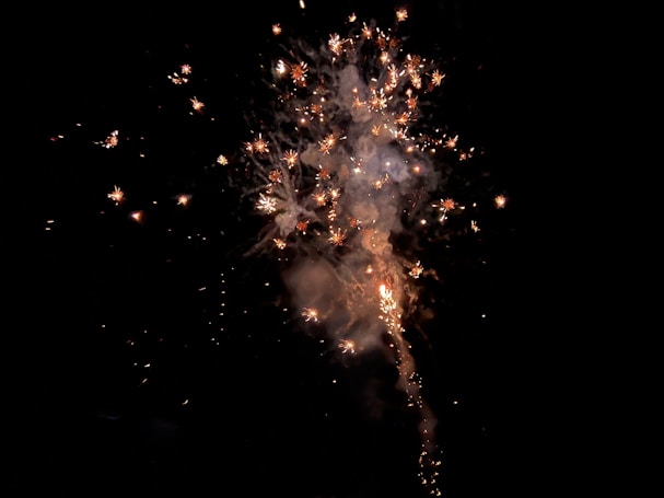 Fireworks display with bright sparks and smoke against a dark night sky. The explosion creates a pattern of cascading lights and vibrant colors.