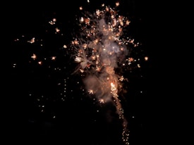 Fireworks display with bright sparks and smoke against a dark night sky. The explosion creates a pattern of cascading lights and vibrant colors.
