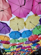 A variety of colorful umbrellas displayed in a sunny outdoor setting.