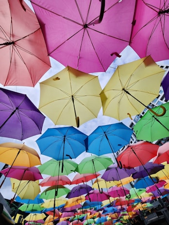 A variety of colorful umbrellas displayed in a sunny outdoor setting.