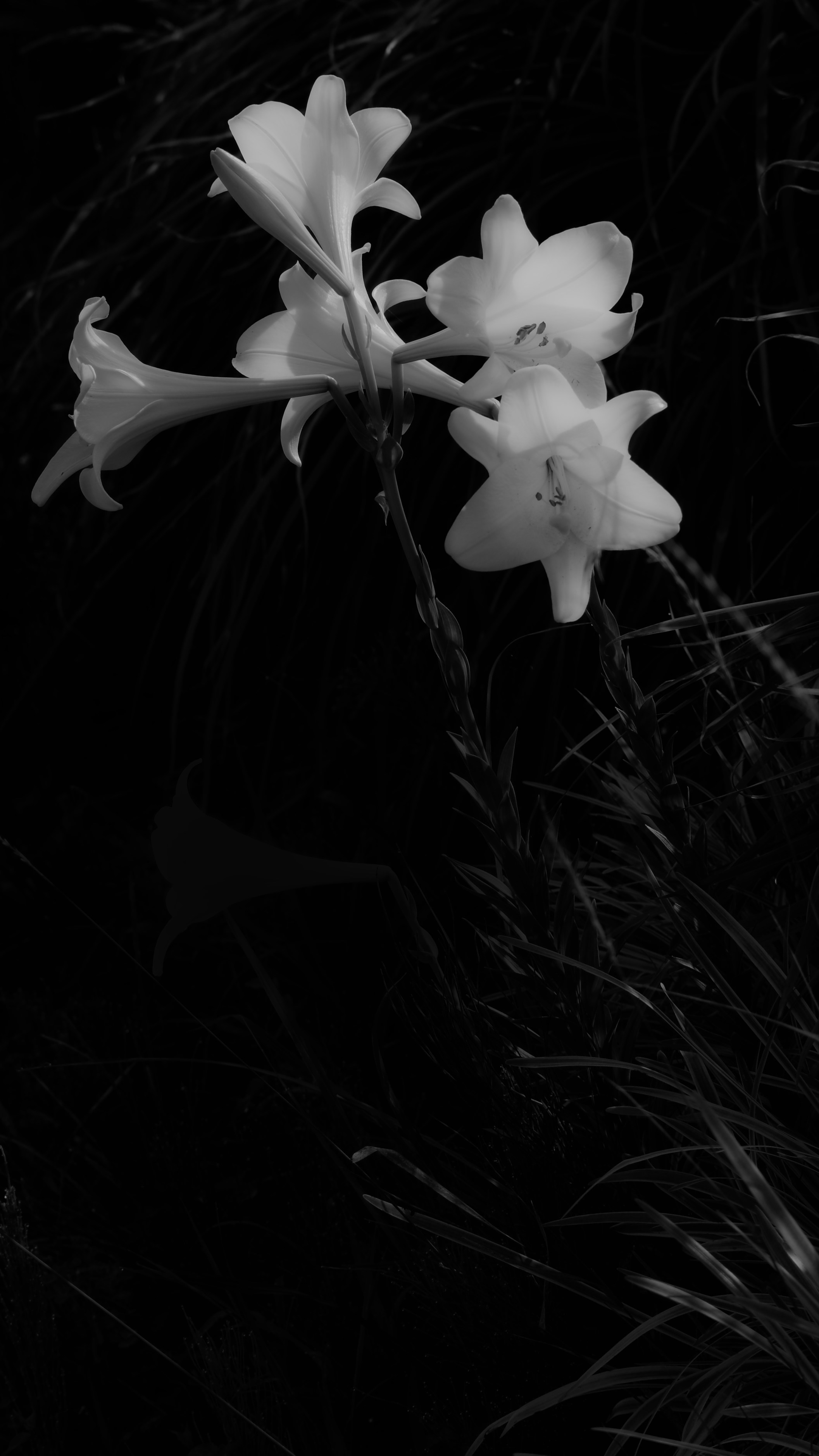 Photo by tomokiozawa