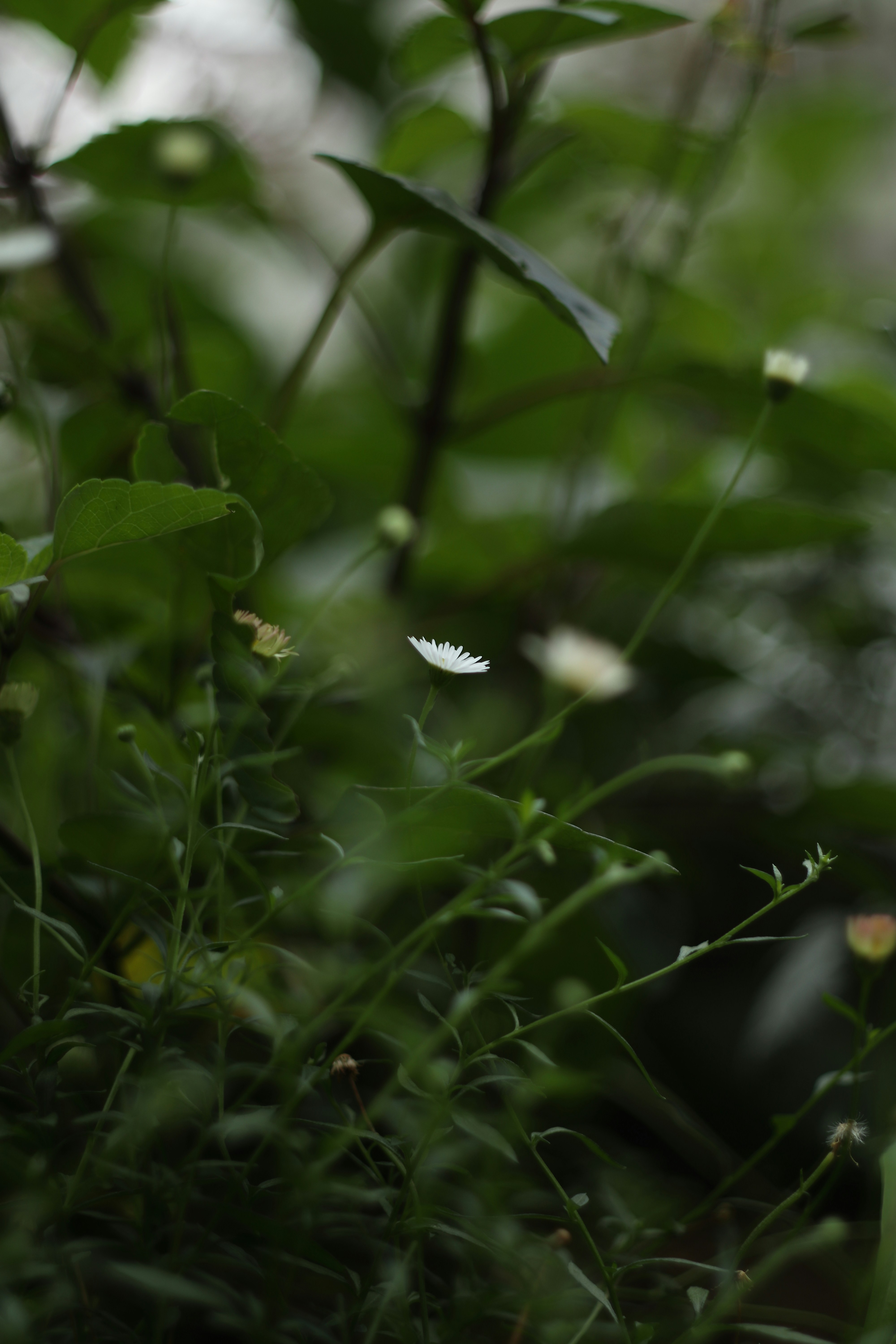 Photo by takatsuchida