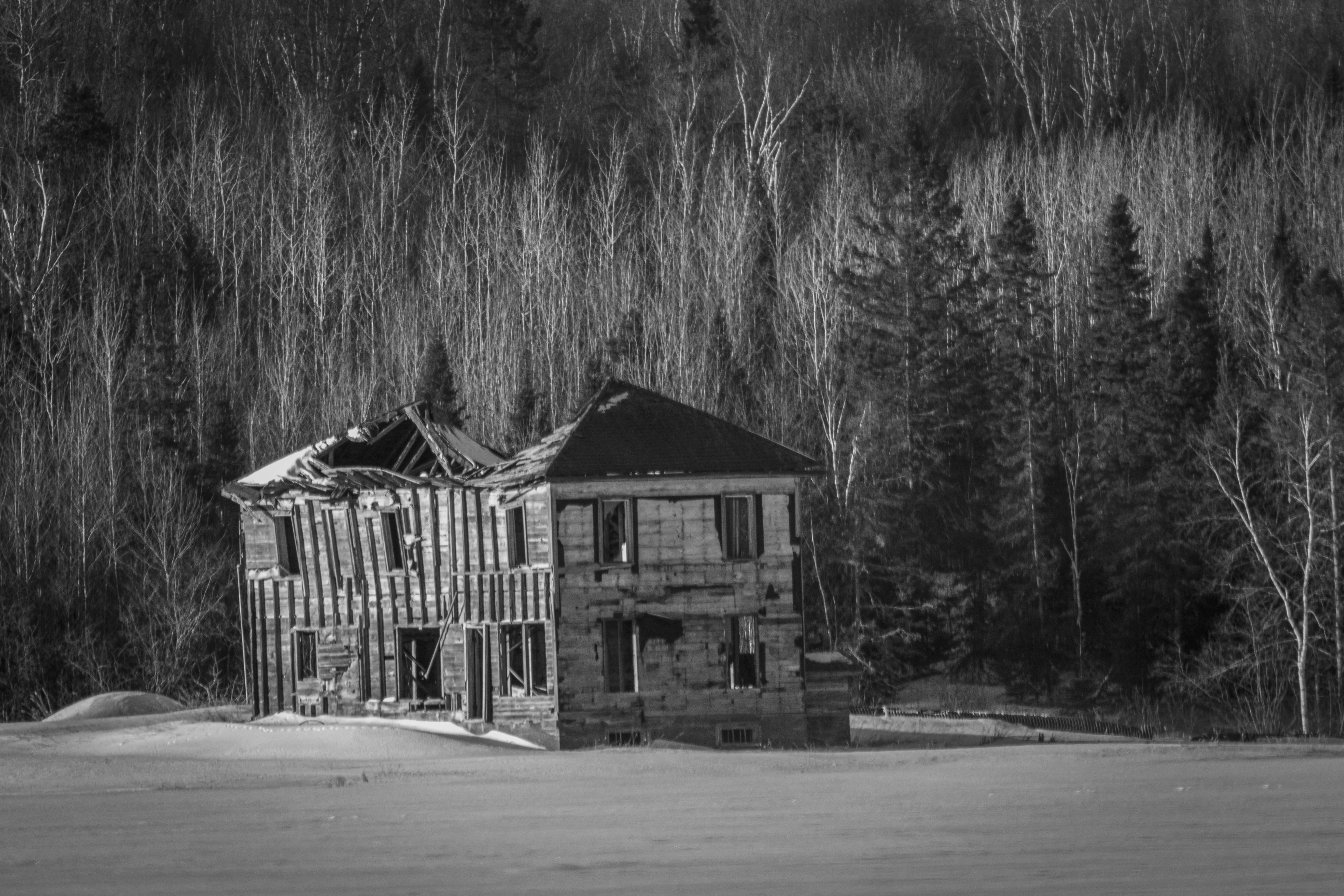 Photo by camerauthor