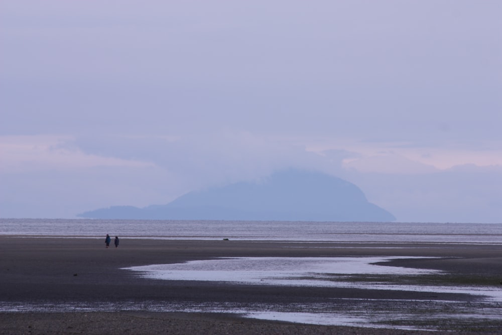 a couple of people standing on top of a beach