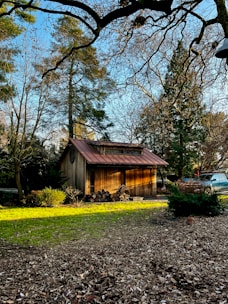 A team carefully dismantling a small wooden shed in a backyard surrounded by trees.
