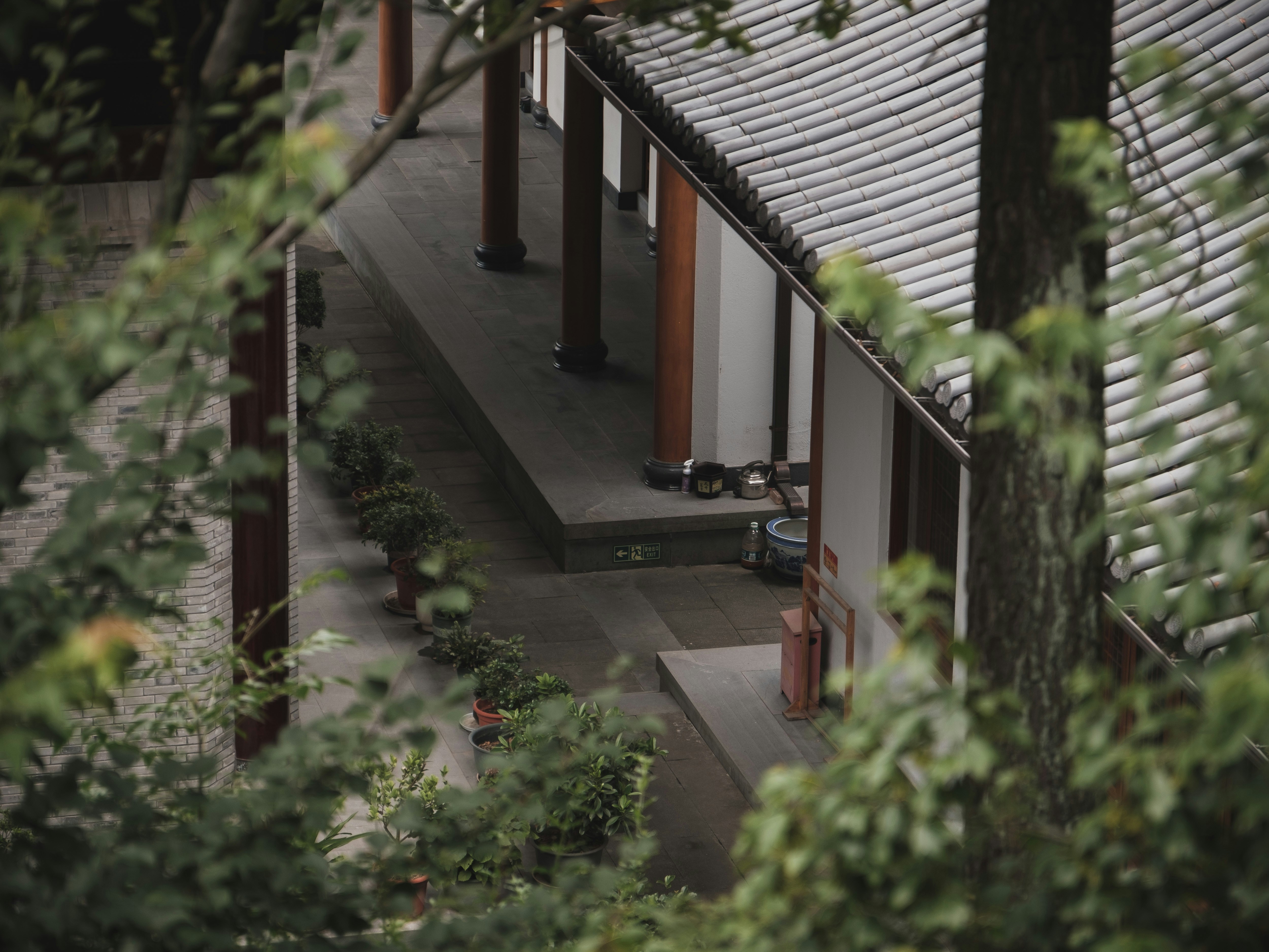 a man riding a skateboard down the side of a building