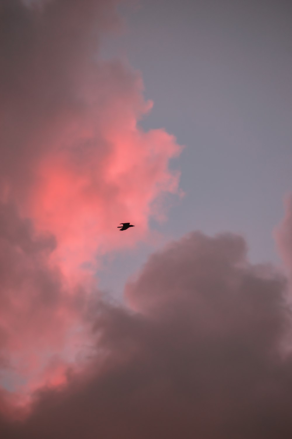 a bird flying through a cloudy sky at sunset