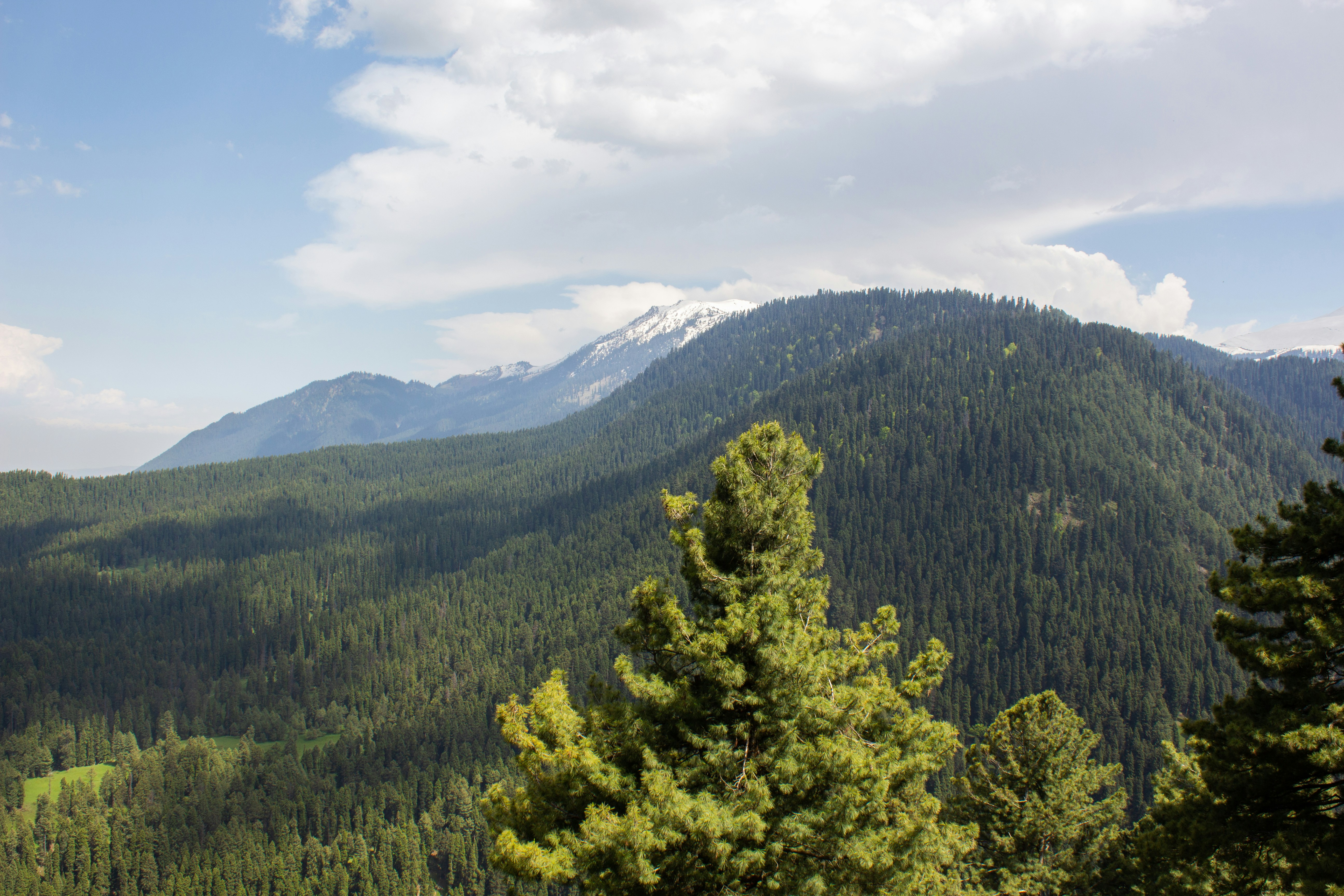 Photo by nipun_photography_unsplash