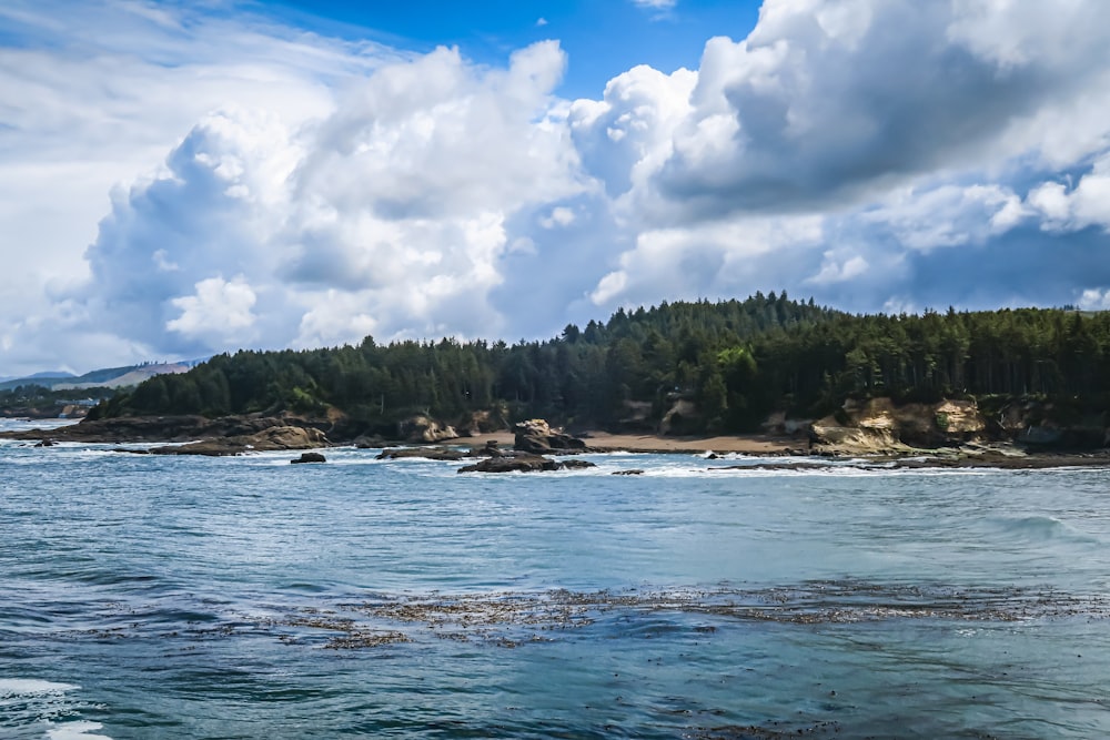 Ein Gewässer, umgeben von Bäumen und Wolken