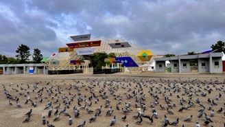 Wide shot of an open terrace fully covered with a durable pigeon net.