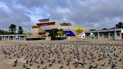 Wide shot of an open terrace fully covered with a durable pigeon net.