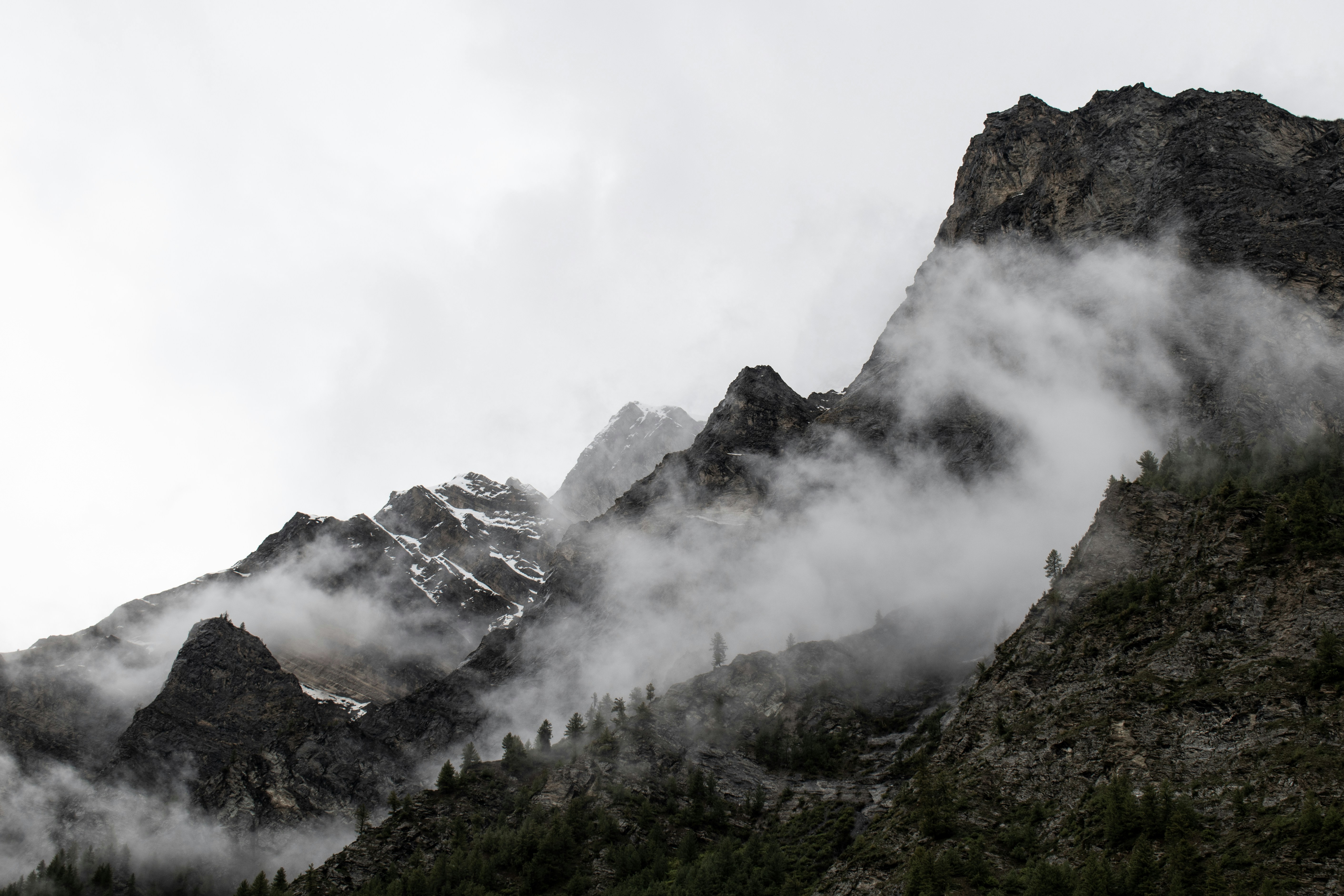 Photo by nikhilsingh291