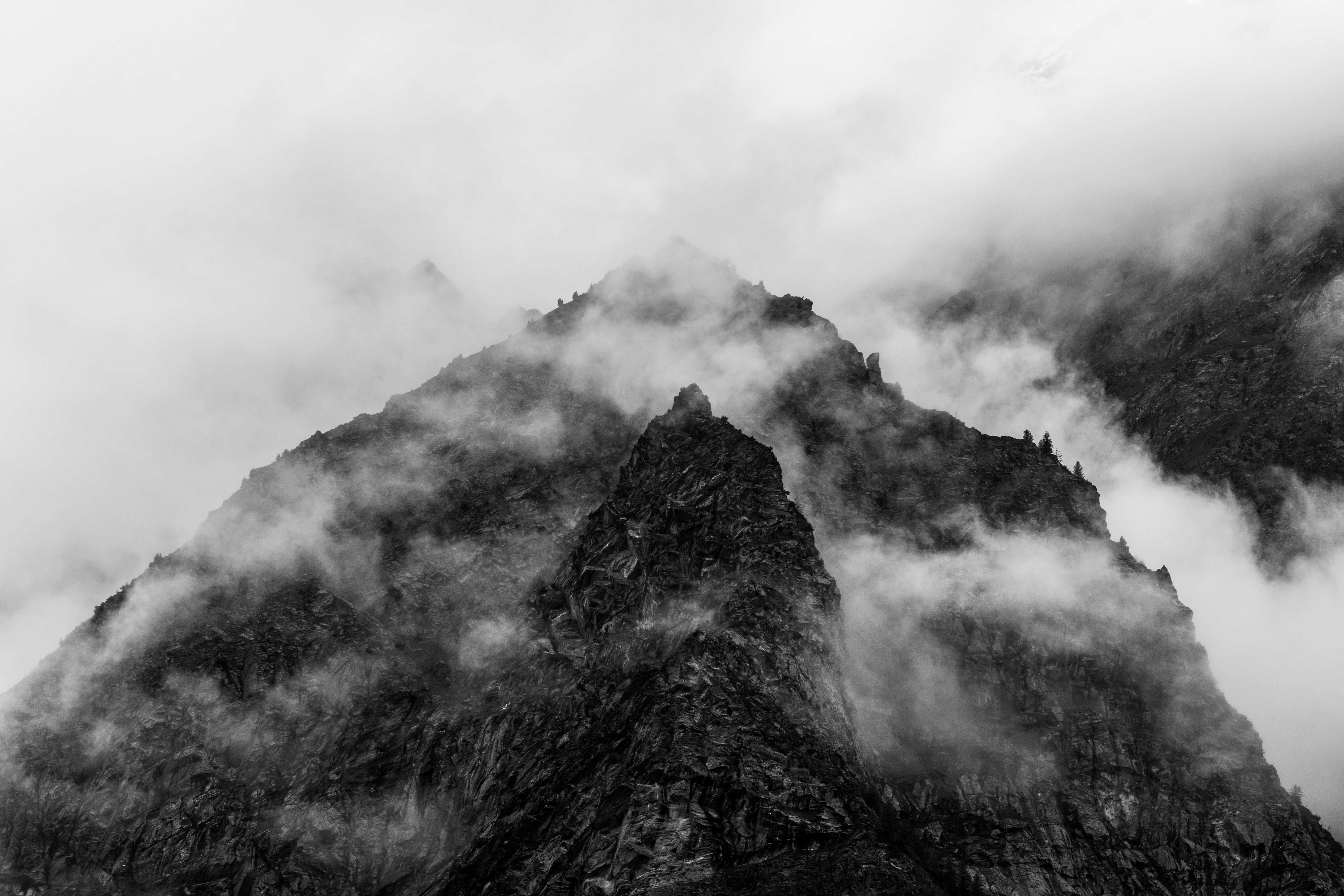 Photo by nikhilsingh291