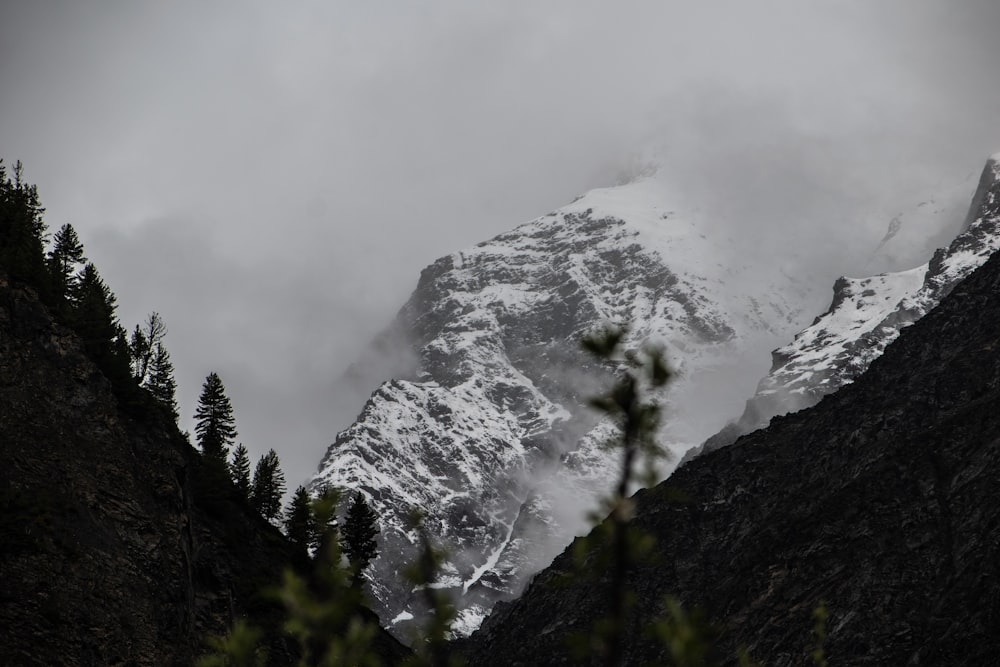 a mountain covered in snow and surrounded by trees