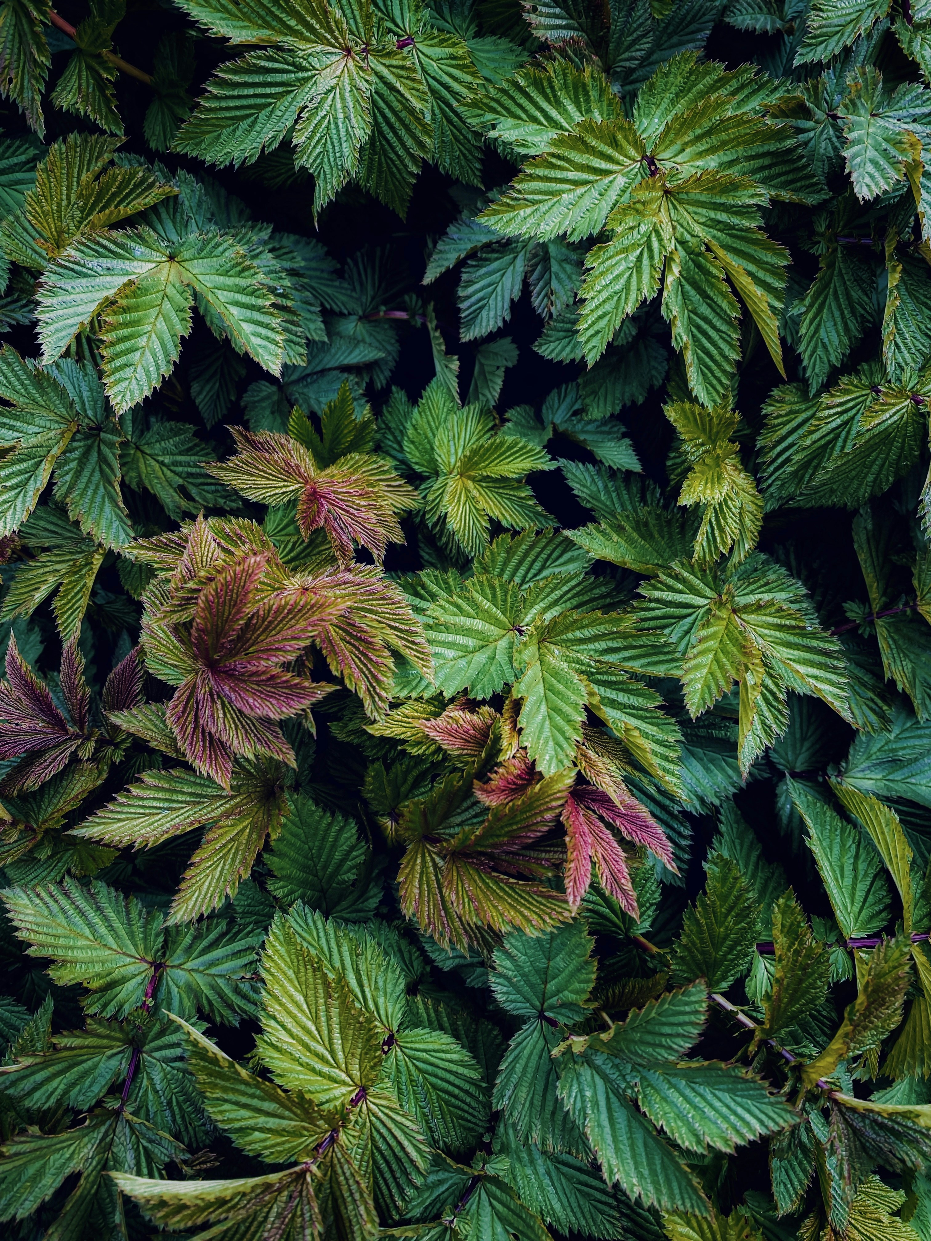 Photo by eugene_golovesov