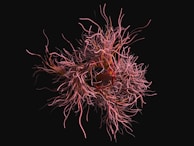 An intricate network of pink and red tendrils or strands, twisting and curling against a dark background, resembling a complex organic structure.