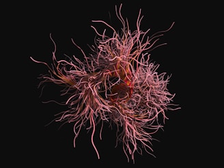 An intricate network of pink and red tendrils or strands, twisting and curling against a dark background, resembling a complex organic structure.