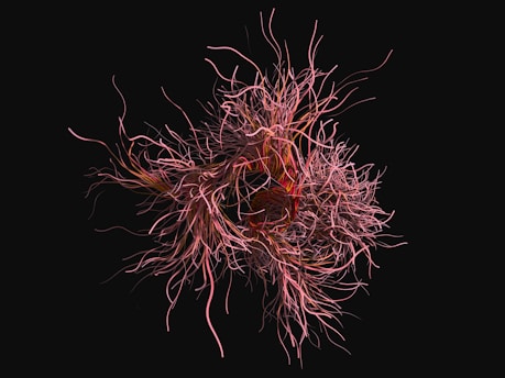 a close up of a bunch of hair on a black background