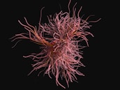 A complex, swirling mass of thin, tangled lines resembling neural connections or abstract tendrils emerges from the center, set against a stark black background. The lines vary in thickness and length, intertwining with a dynamic flow that suggests movement.
