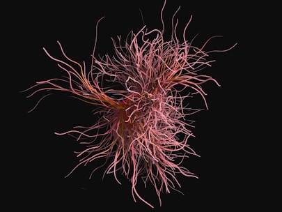 A complex, swirling mass of thin, tangled lines resembling neural connections or abstract tendrils emerges from the center, set against a stark black background. The lines vary in thickness and length, intertwining with a dynamic flow that suggests movement.