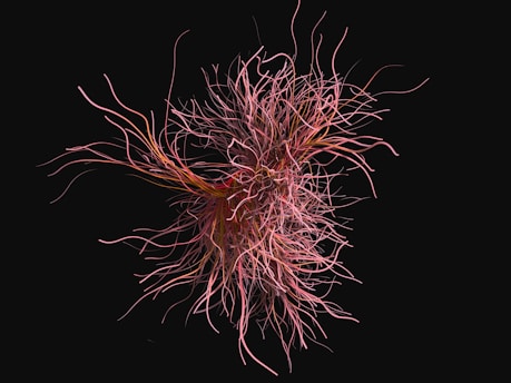 A complex, swirling mass of thin, tangled lines resembling neural connections or abstract tendrils emerges from the center, set against a stark black background. The lines vary in thickness and length, intertwining with a dynamic flow that suggests movement.