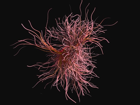 A complex, swirling mass of thin, tangled lines resembling neural connections or abstract tendrils emerges from the center, set against a stark black background. The lines vary in thickness and length, intertwining with a dynamic flow that suggests movement.