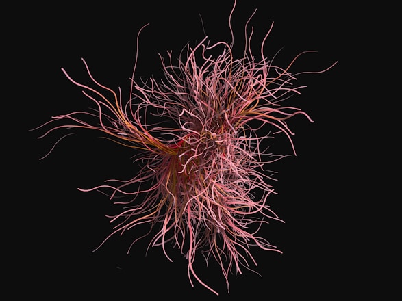 A complex, swirling mass of thin, tangled lines resembling neural connections or abstract tendrils emerges from the center, set against a stark black background. The lines vary in thickness and length, intertwining with a dynamic flow that suggests movement.
