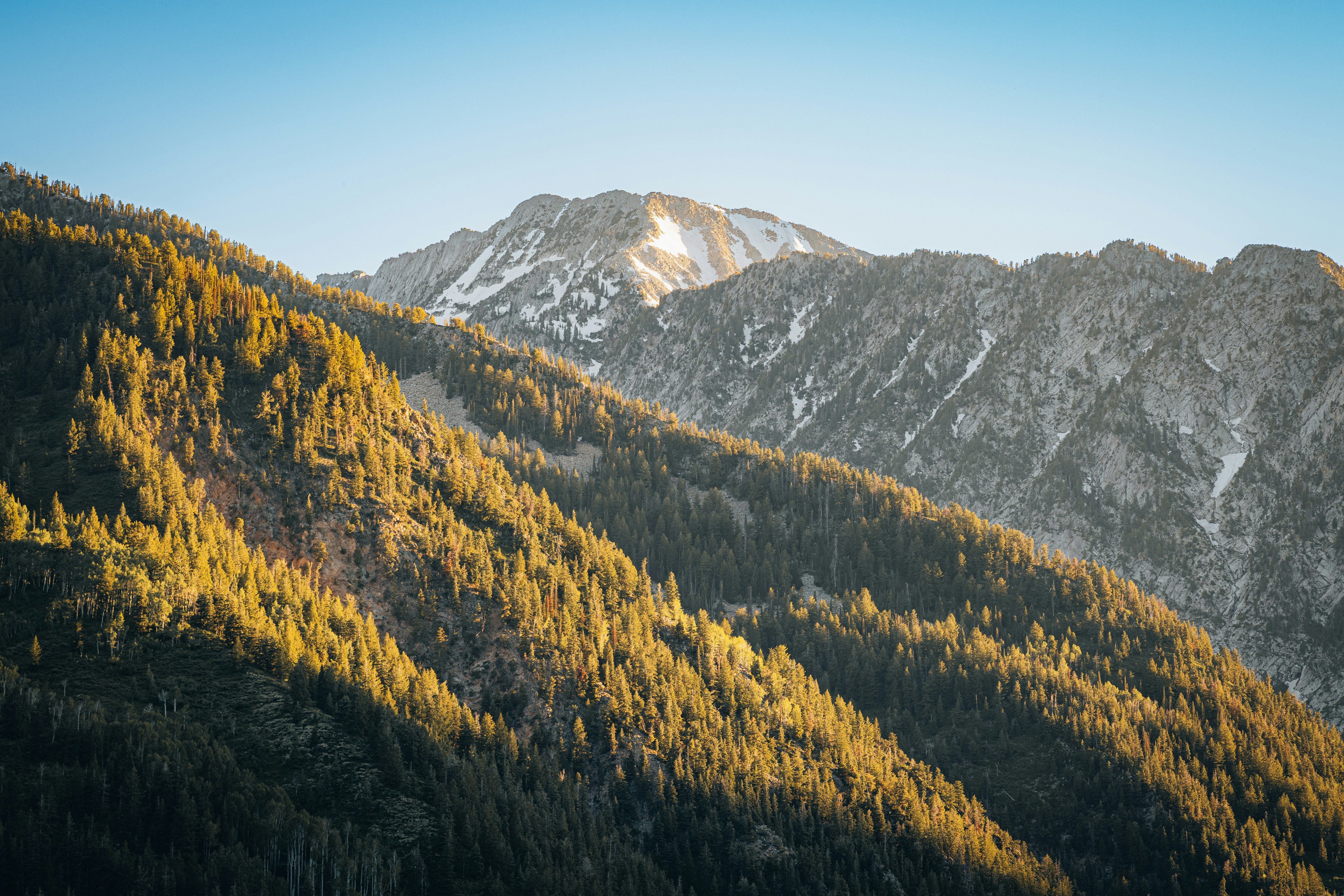 Photo by isaactmitchell