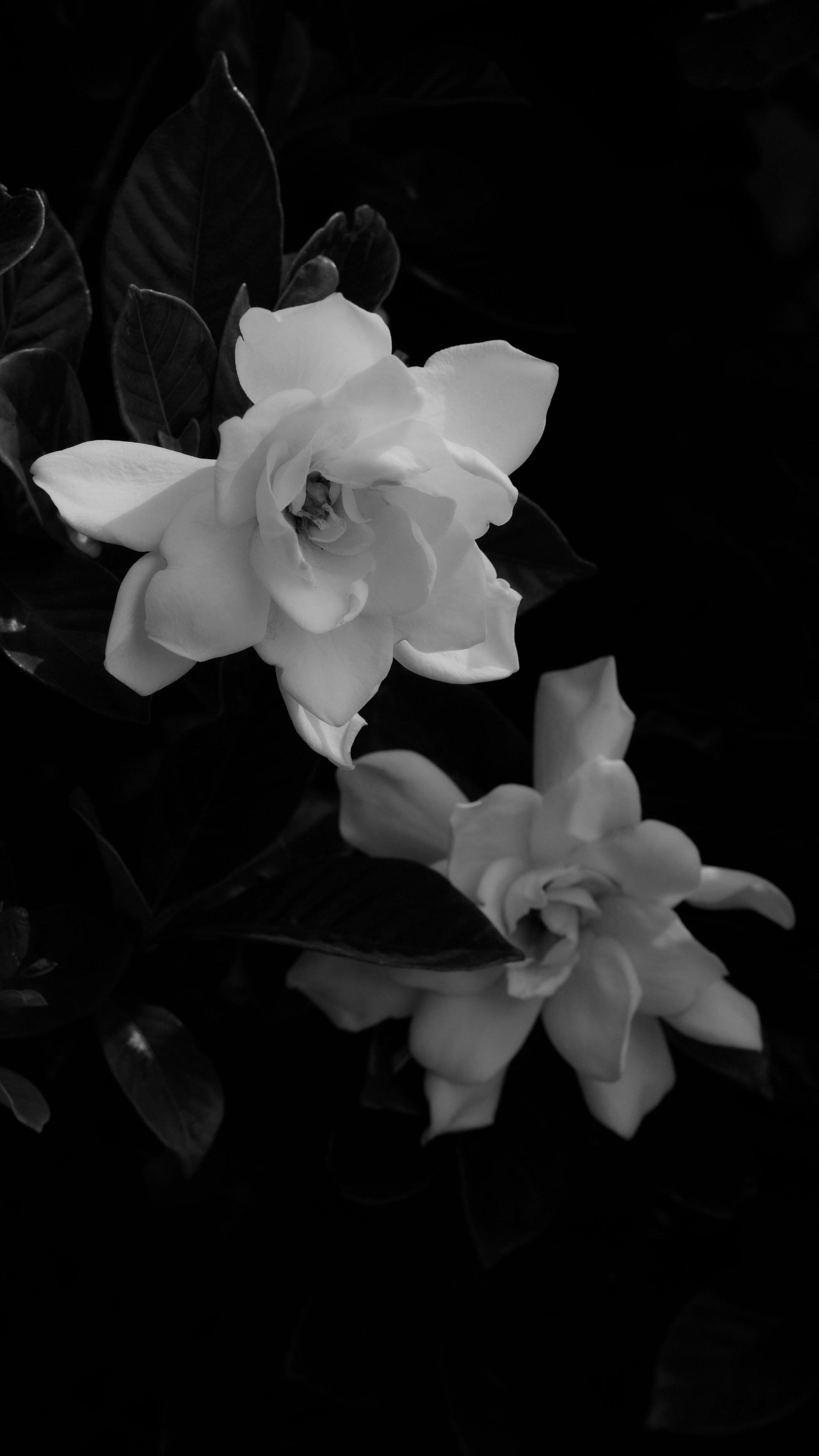 Photo by tomokiozawa