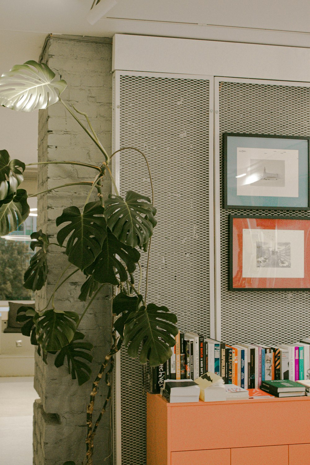 uma sala com uma estante de livros e uma planta