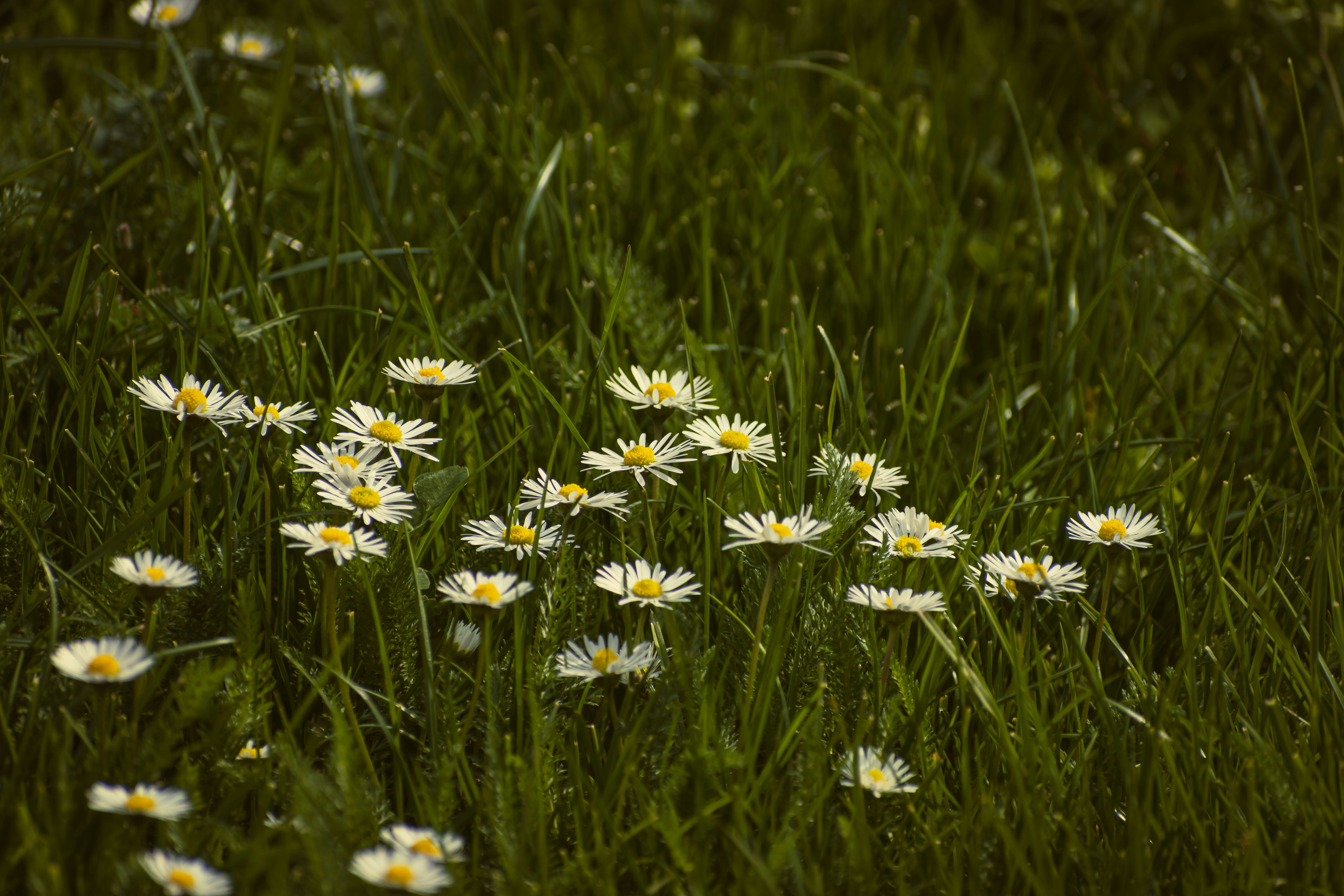 Photo by niki_emmert