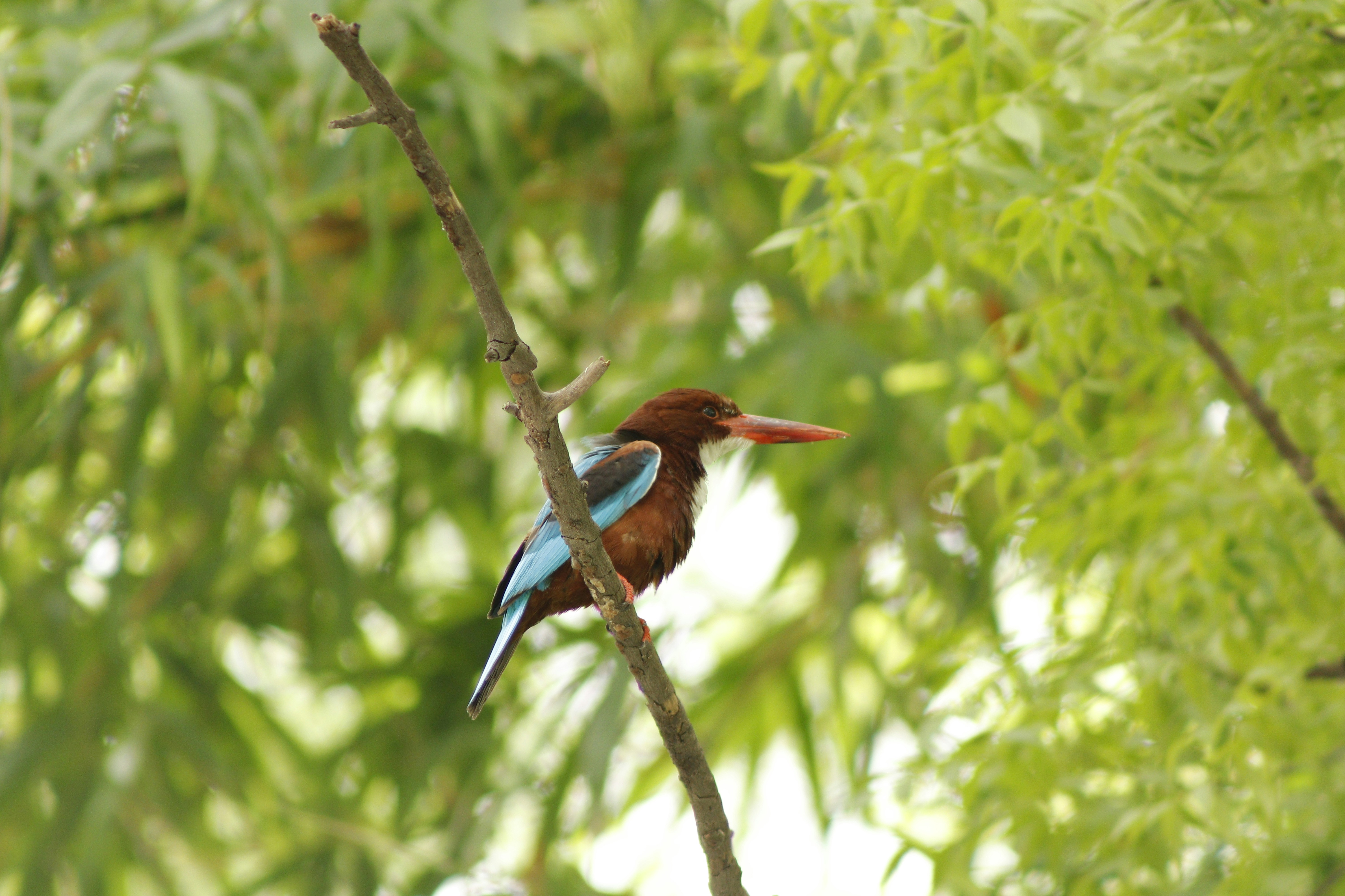 Photo by royalsnapstudio12