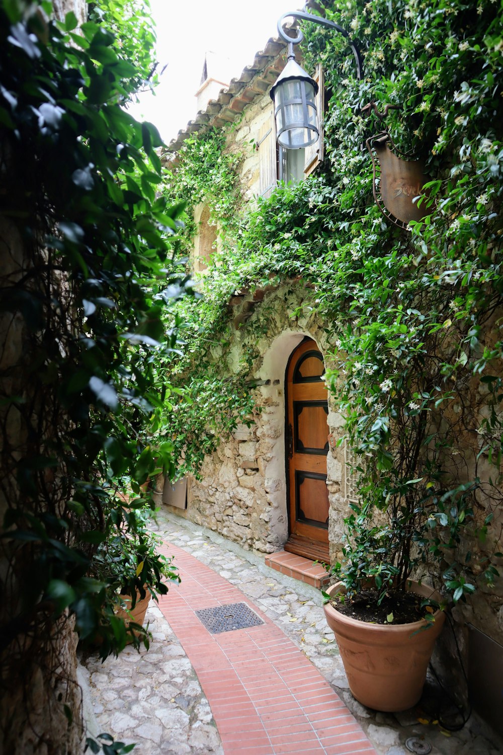 a narrow alley way with a potted plant on the side