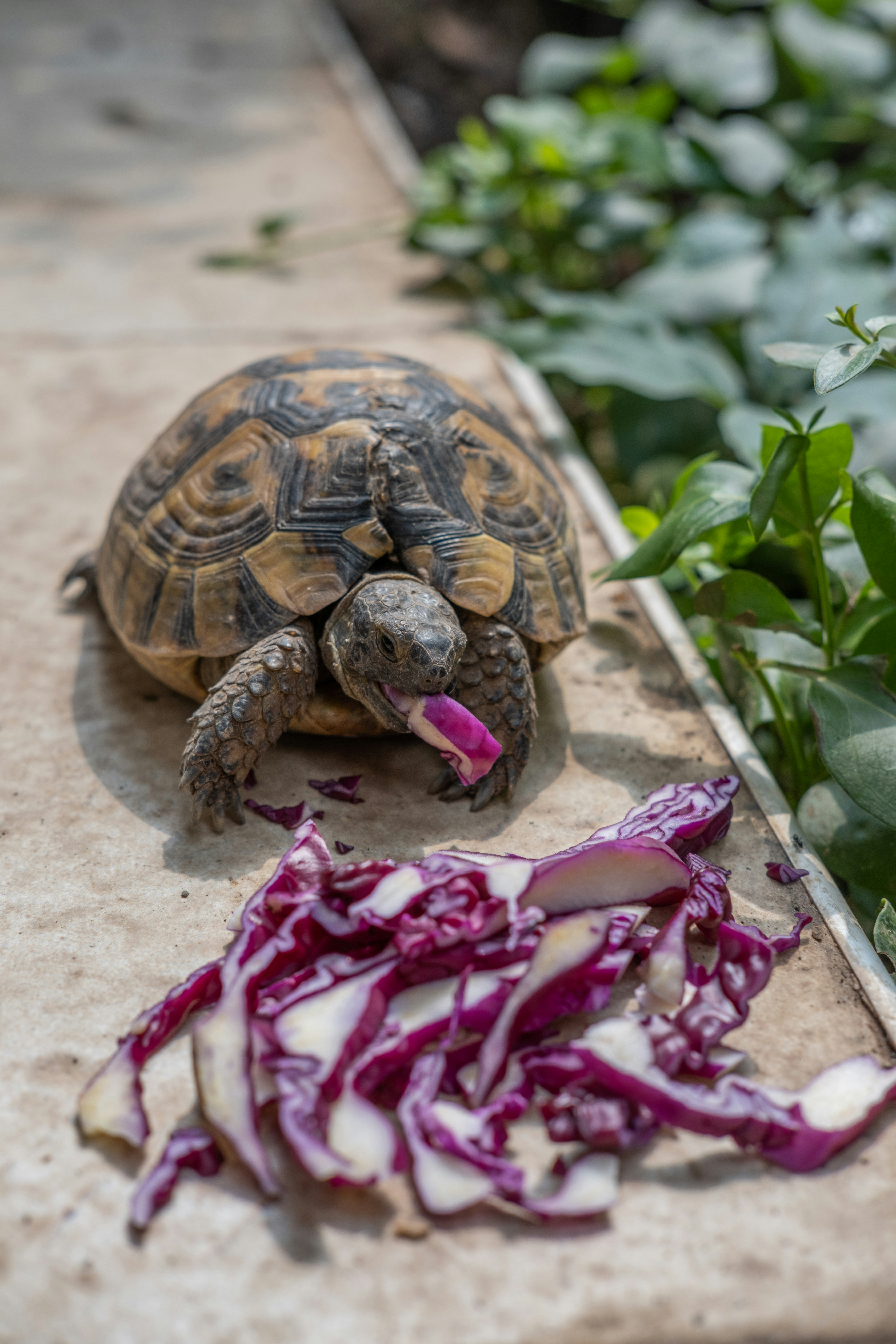Doktorda ozimni sikdim