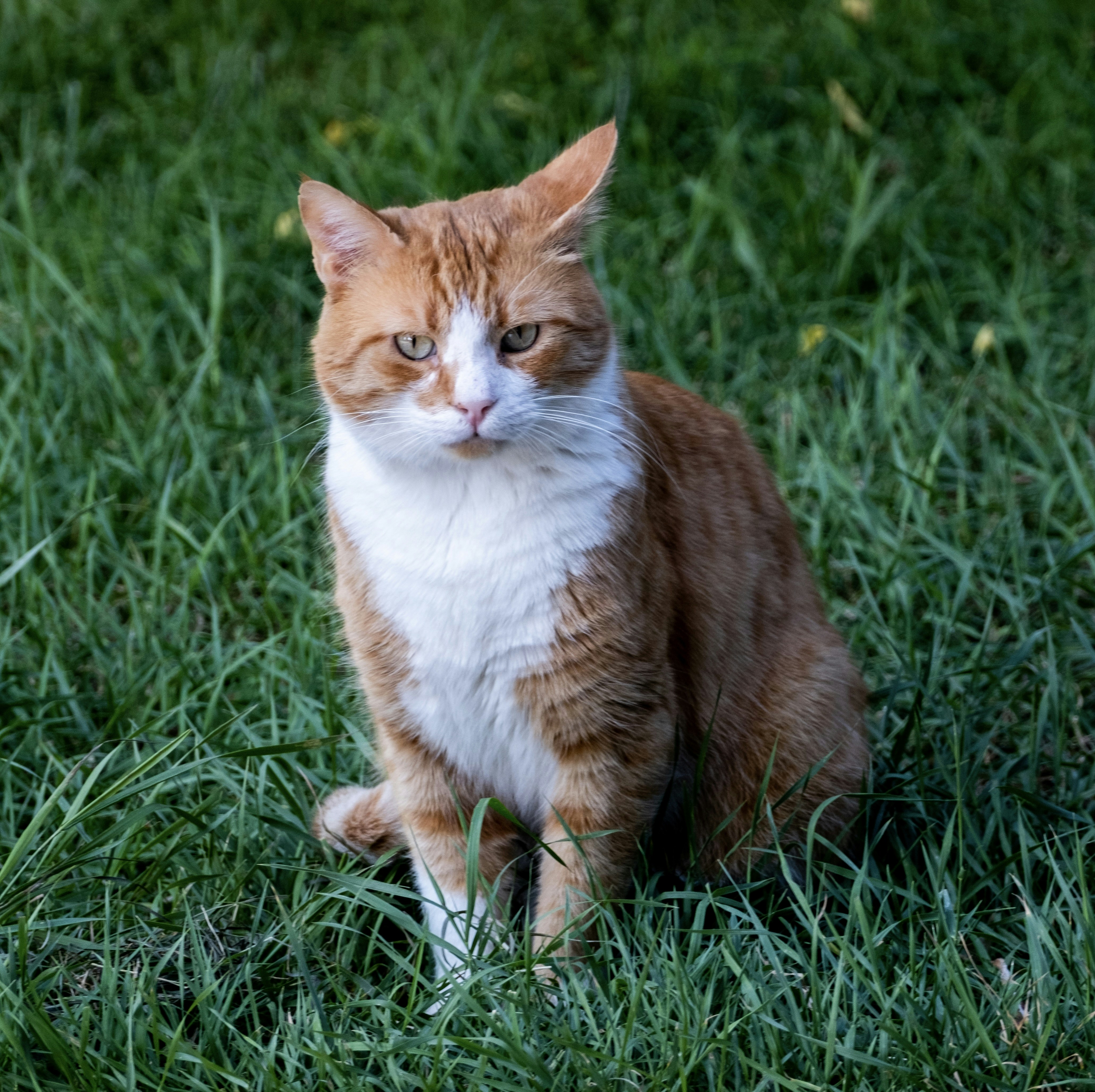 Predictable Daily Routines (image credits: unsplash)